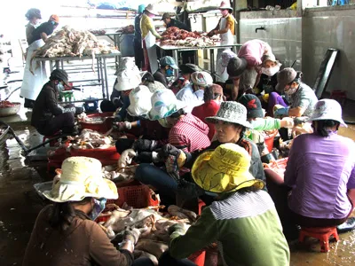 Phú Yên: Một nhà báo bị hành hung
