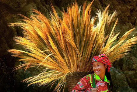 16 tác phẩm đoạt giải liên hoan ảnh nghệ thuật TPHCM lần thứ 36- 2011 ảnh 3