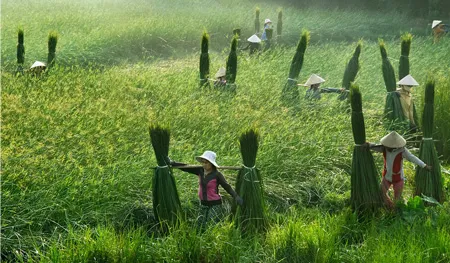 16 tác phẩm đoạt giải liên hoan ảnh nghệ thuật TPHCM lần thứ 36- 2011