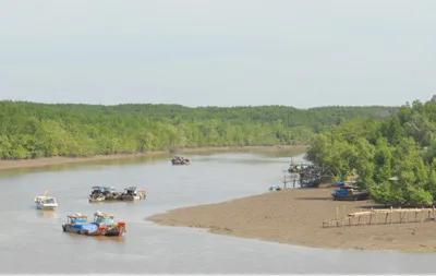 Cử tri Hà Nội đề nghị Quốc hội giám sát chặt công tác bảo vệ môi trường, giữ đất lúa