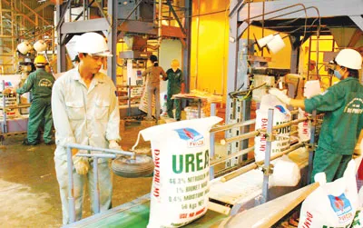 Nghịch lý thị trường phân bón - Nhà máy bán rẻ, nông dân mua đắt