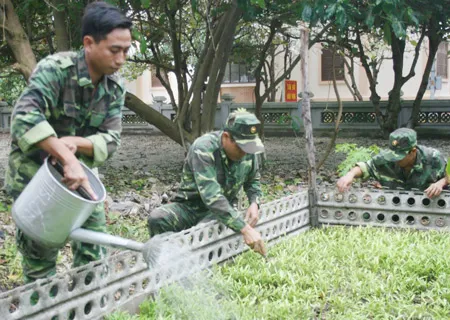 Chăm sóc vườn rau xanh trên đảo Trường Sa Lớn