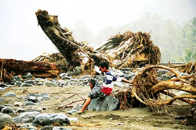 Năm 2011 - Dồn dập thiên tai