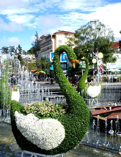 Thiên nga làm bằng hoa, cây cảnh của Dalat Hasfarm