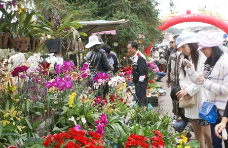 Đà Lạt: Khai mạc phiên chợ hoa và không gian hoa ảnh 3