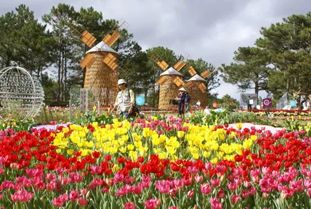 Đà Lạt: Khai mạc phiên chợ hoa và không gian hoa