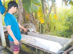 A built up drain transports dung and waste to an underground biogas tank in Cu Chi District