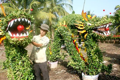 Twin ornamental plants shaped like dragons (Photo: SGGP)