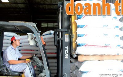 Small business-steady growth ảnh 1