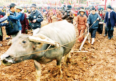 State President Truong Tan Sang attends the annual Tich Dien (Ploughing) Rice Festival (Photo:SGGP)