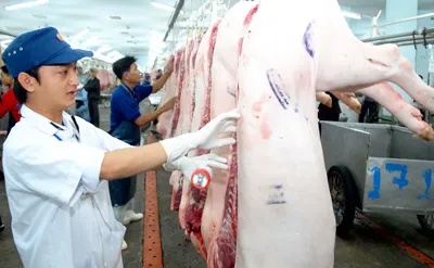 Sôi động chợ tết