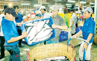 Thực phẩm tươi sống dồi dào tại chợ đầu mối Bình Điền. Ảnh: Thanh Tâm