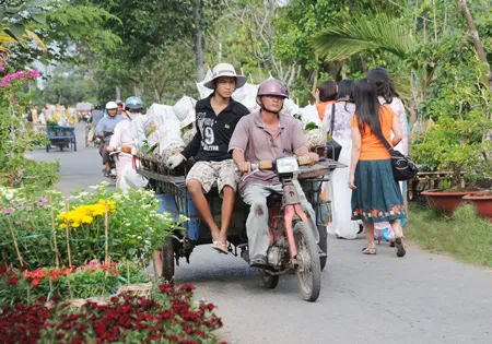 Nhộn nhịp vận chuyển hoa từ Tân Quy Đông đi các nơi phục vụ Tết Nhâm Thìn