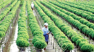 Phương Nam khoe sắc