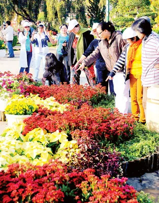 TP Đà Lạt ngập tràn sắc hoa.