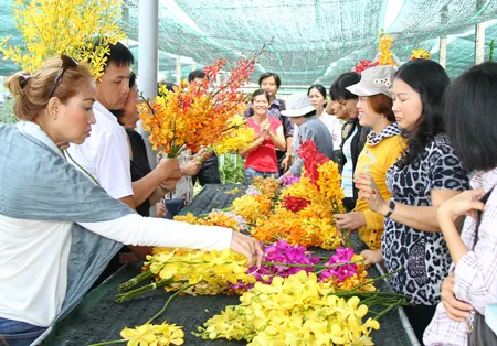 Nông dân sản xuất giỏi - Góp phần xây dựng nông thôn mới