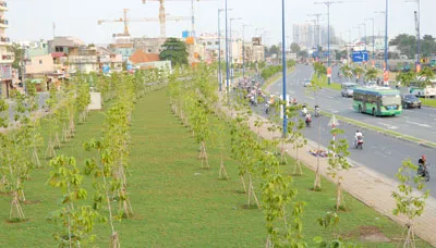 Phủ màu xanh lên đường phố