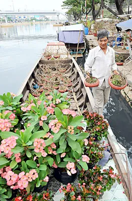 Anh Cưng, quê Bến Tre bán hoa tại chợ hoa xuân trên đường Bến Bình Đông quận 8.