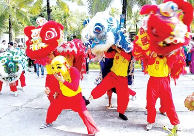 Múa lân ngày xuân - Từ nét đẹp… đến biến tướng