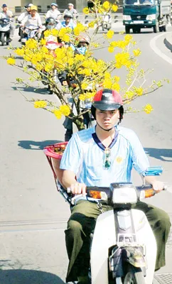 Hoa xuân.