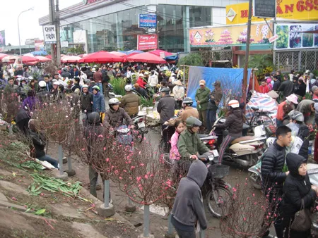 Chợ hoa đào Nhật Tân ngày 30 Tết vẫn đông nghịt người mua Tin,ảnh: QUỐC KHÁNH