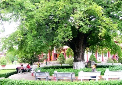 Cây me, giếng nước còn đây...