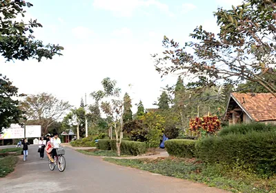 Hầu hết trẻ em buôn Ako Dhong đều được đến trường.