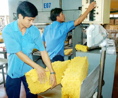 Chế biến cao su xuất khẩu tại Nhà máy chế biến cao su Long Thành (Đồng Nai). Ảnh: CAO THĂNG