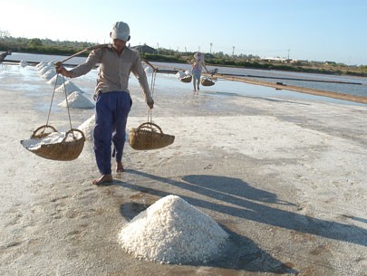 This undated file photo shows salt being harvested in a Mekong Delta province