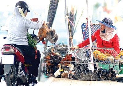 People continue to trade in illegal poultry in Cau Market in HCMC (Photo: SGGP)