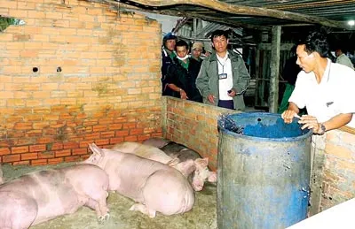 Lực lượng liên ngành huyện Bình Chánh TPHCM phát hiện một lò giết mổ heo lậu vào trưa 4-2