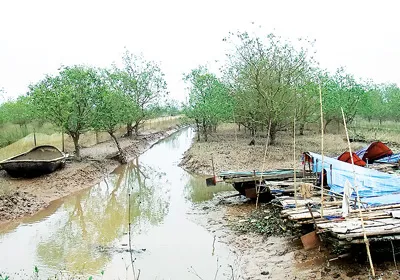 Khu đầm thủy sản của gia đình ông Vươn lạnh lẽo sau khi bị cưỡng chế. Ảnh: Văn Phúc