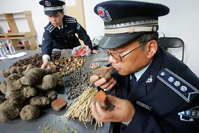 Trung Quốc: Phá đường dây sản xuất, tiêu thụ thuốc trị rối loạn cường dương giả