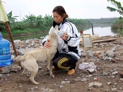 Về vụ cưỡng chế đất ở Tiên Lãng, Hải Phòng - Mong hai chữ công bằng