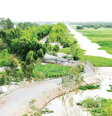 Vành đai bảo vệ Vườn quốc gia Tràm Chim. Ảnh: HOÀNG TRỌNG