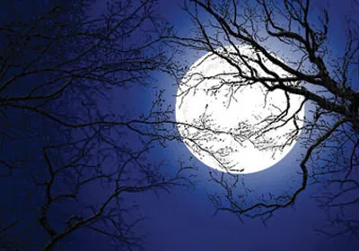 Rằm xuân đọc thư Bác