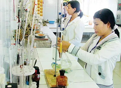 Kiểm nghiệm sản phẩm ethanol tại Nhà máy Ethanol Đại Tân (Quảng Nam). Ảnh: VĂN ĐIỆN