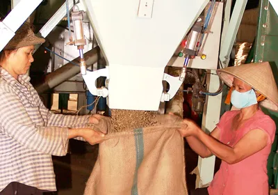 Găm cà phê chờ giá - Có lợi không?