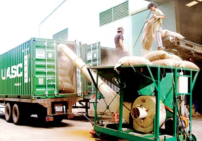 Vận chuyển cà phê xuất khẩu ở Simexco Đắc Lắc