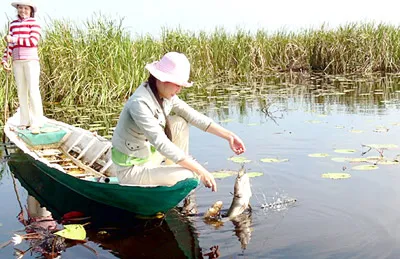 Về Miệt Thứ - Bài 1: Sương khuya ướt đẫm giàn bầu…