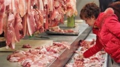 A woman looks at pork put for sale at a market (Photo: VOV)