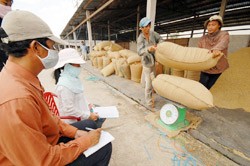 A food company buys rice from the Co Do State Farm in Can Tho (Photo:VNA)