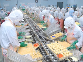 Workers process shrimp for export at a factory of Hai Thanh Company in Hiep Phuoc Industrial Zone, Ho Chi Minh City. (Photo: Cao Thang)