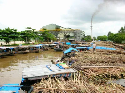 Nghịch lý đường - muối. Bài 2: Ngành đường: Loay hoay xử lý tình huống