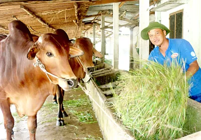 Triệu phú chân đất