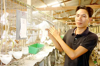 Nguyễn Ngọc Thức và đàn bồ câu giúp anh đổi đời.