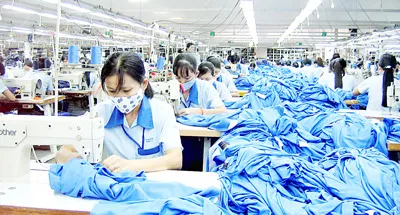 Pháp cần nguồn cung dệt may từ Việt Nam