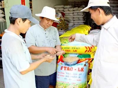 Hướng đến nền nông nghiệp hiện đại, bền vững. Bài 3: Liên kết 4 nhà - Giải pháp phát triển nông nghiệp bền vững