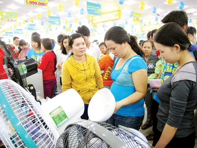 Khách hàng chọn mua một số quạt điện tại một cửa hàng điện máy