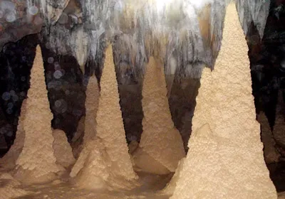 Phát hiện gần 20 hang động tại Phong Nha – Kẻ Bàng